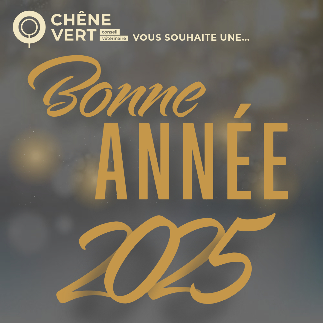 Bonne année 2025