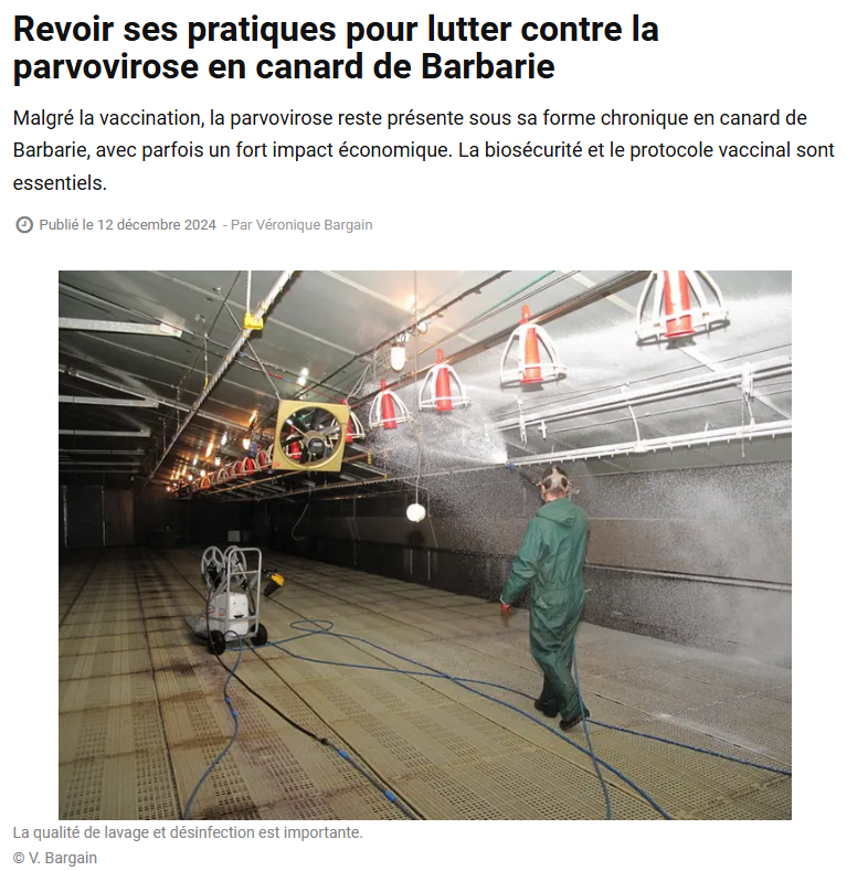 Capture d’écran Canard de barbarie RdP 2