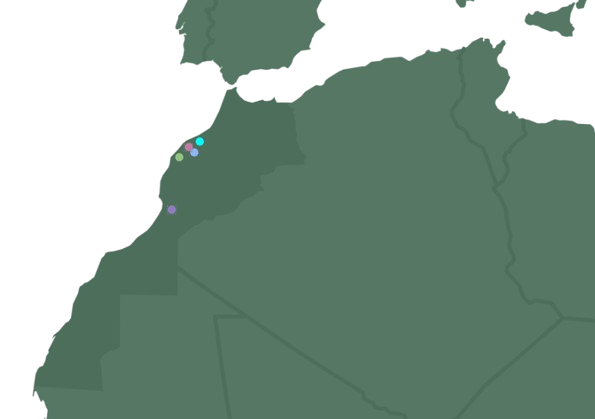 carte stylisée Maroc removebg