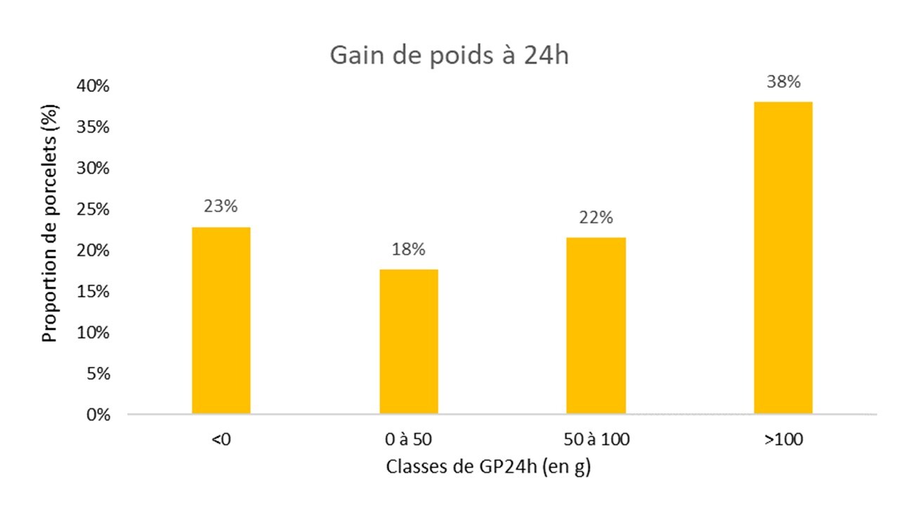 Gain de poids 24h