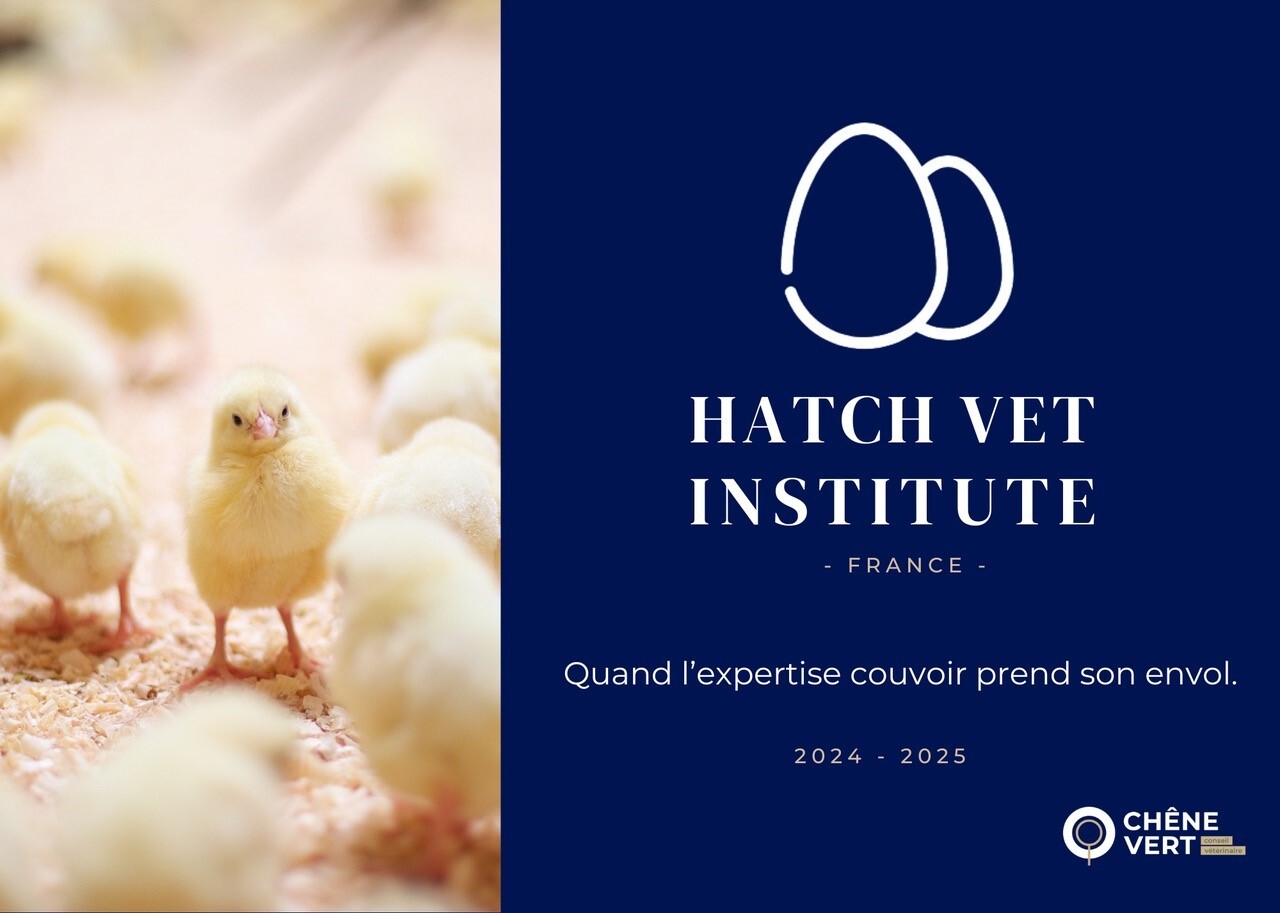 Poussin + logo HVI