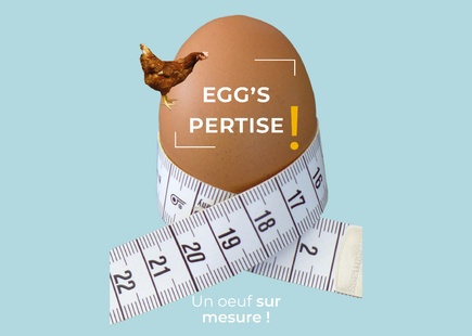 EGG'S PERTISE