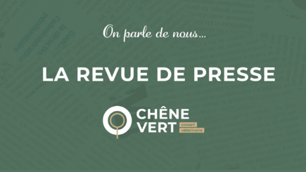 Image de couverture - revue de presse site web